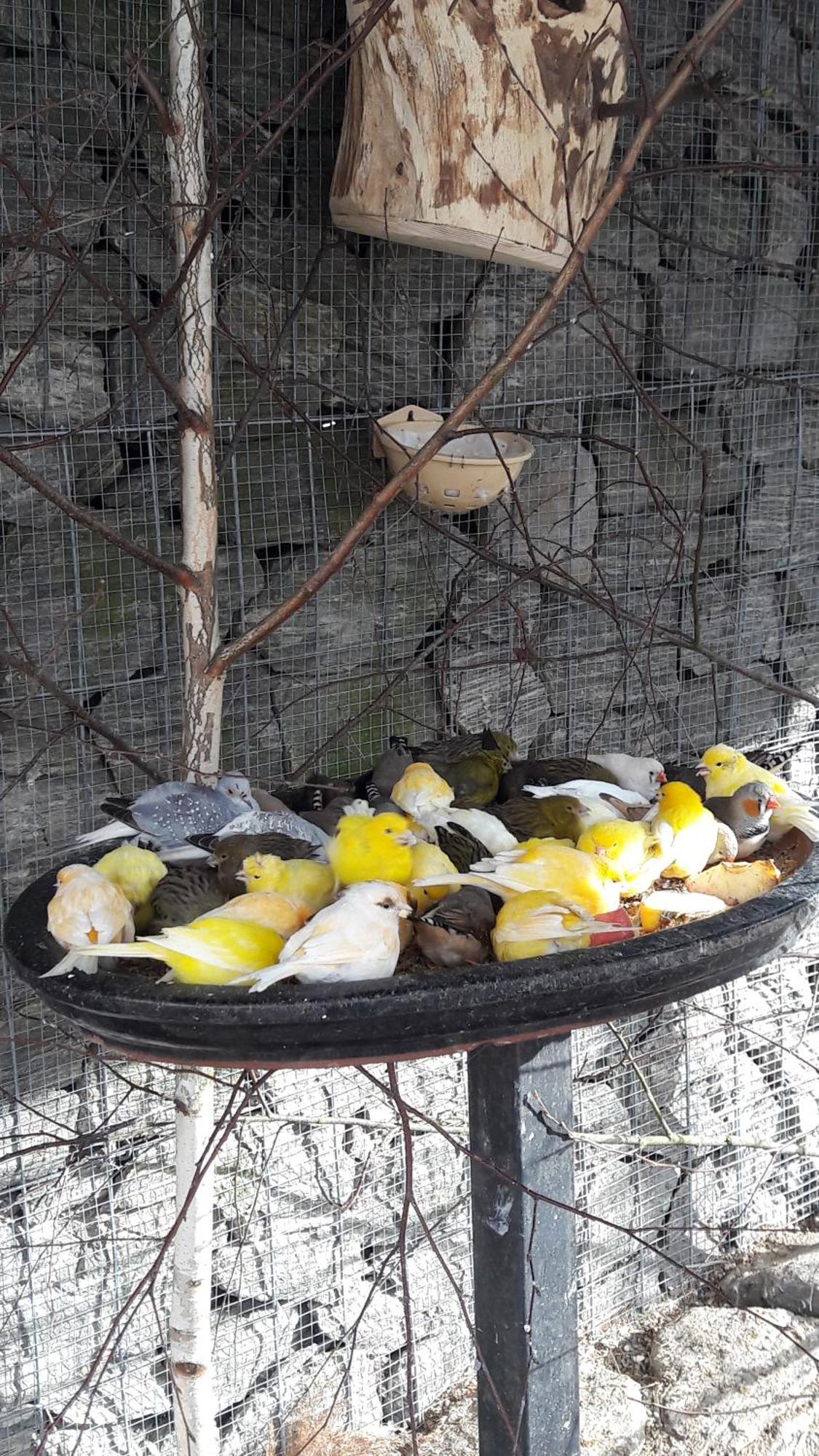Pokoje Goscinne Skalnik - Agroturystyka Костшин-над-Одрон Экстерьер фото
